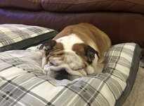 IMG_0496.jpeg