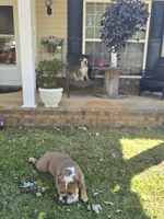 20251101_133807.webp