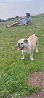 IMG-20230810-WA0000.webp