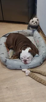 IMG-20251203-WA0001.webp