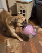 20251217_130918.webp