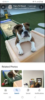 Screenshot_20241119_121606_Google.webp