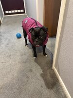 IMG_0183.jpeg