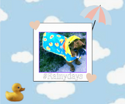 Screenshot 2025-04-13 4.55.48 PM.png