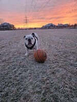 20260108_071304.jpg