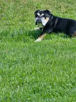 20260427_125845.webp
