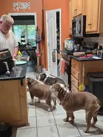 20260901_184320.webp