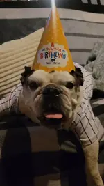 20260902_115046(1).webp