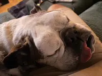 14 Year Old Possible Stroke