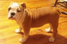 Lola first year one 030.jpg Lola first year one 030.jpg