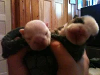 photo (5).webp