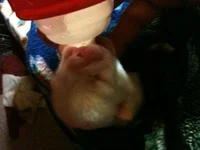 photo (9).webp