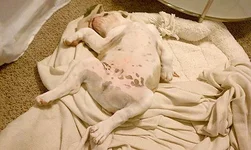 alltuckered.webp