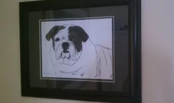 DrawingofDubbie1.webp