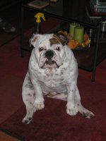 IMG_2860.jpg