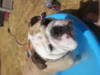 20120707_152734.webp