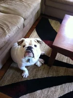 photo.webp