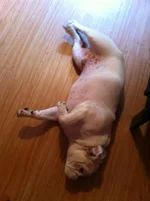 photo2.webp