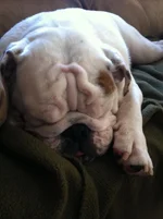 photo3.webp