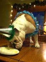 GIO photo-16.webp