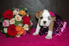 Lola first year 099.webp