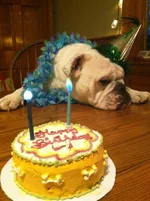 GIO photo-13 .webp