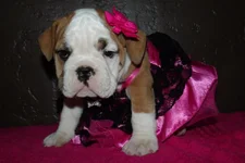 Lola first year 103.webp