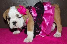 Lola first year 107.webp