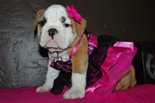 Lola first year 109.webp