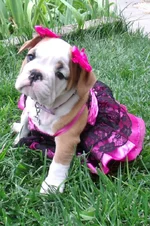 Lola first year 124.webp