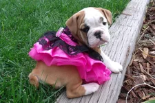 Lola first year 126.webp