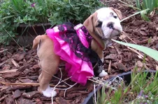 Lola first year 128.webp