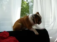 P1100101.webp