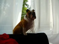P1100102.webp