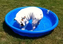 pool1.webp