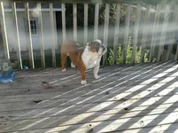 IMG099.webp