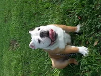 20121009_164045.webp