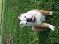 20121009_164057.webp