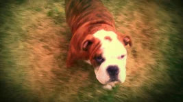 FRANKLIN OUTSIDE.webp