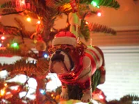 Latest Addition 2011.webp