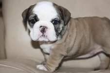 bertha baby at 5 weeks.webp