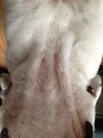 photo-2.webp