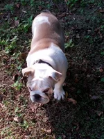 Zam 10-13-12 27 pounds.webp Zam 10-13-12 27 pounds.webp