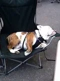 CAMPING Arnold.webp