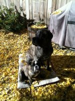 Abi and Seamus.jpg Abi and Seamus.jpg