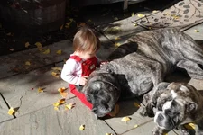 Abi, Lia and Seamus.webp