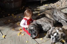 Abi, Lia and Seamus.jpg Abi, Lia and Seamus.jpg