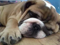 photo.webp