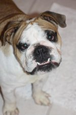 IMG_7033.jpg IMG_7033.jpg