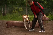 DSC_0214.webp